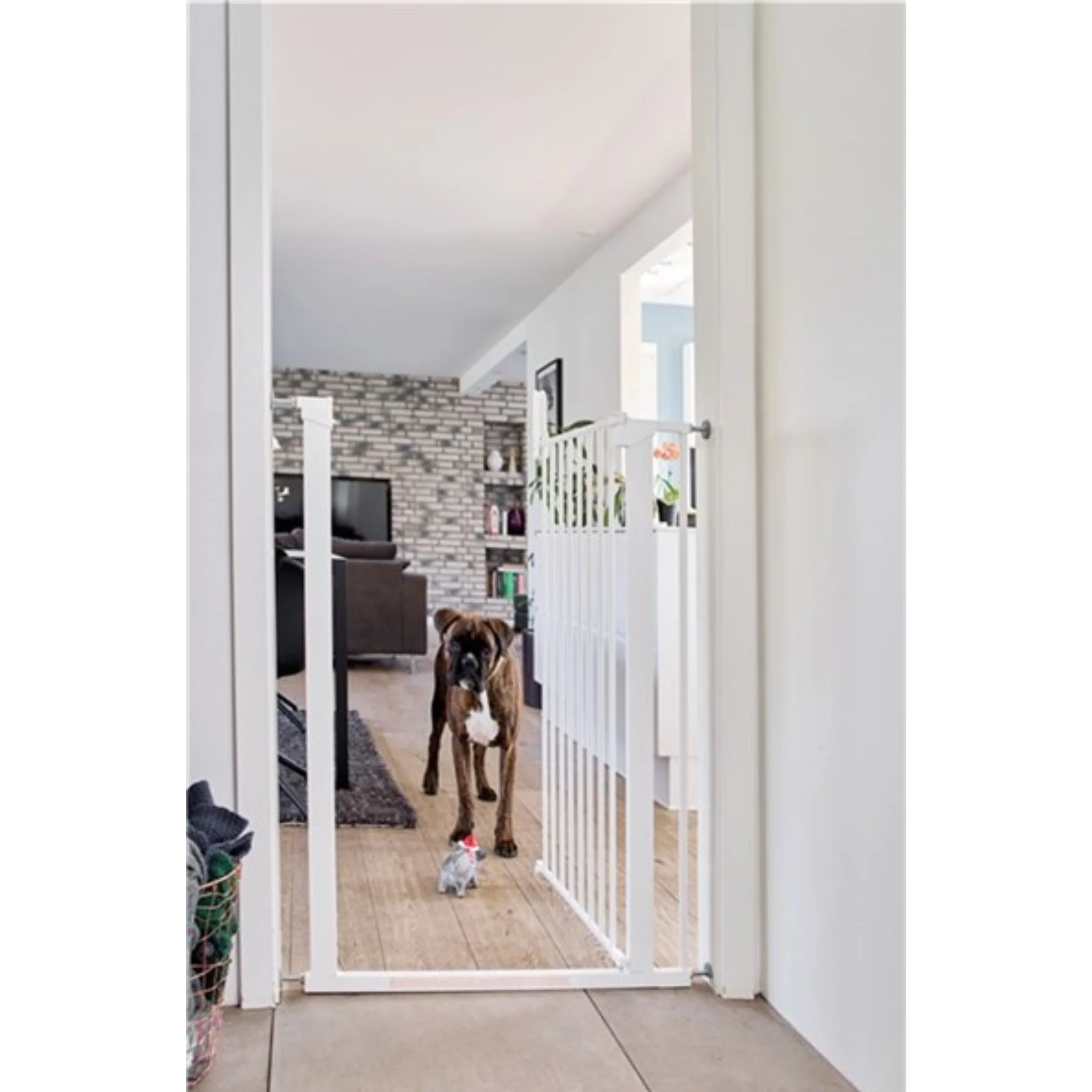 DogSpace BONNIE extra tall Pet gate metal gate WHITE - Image 3