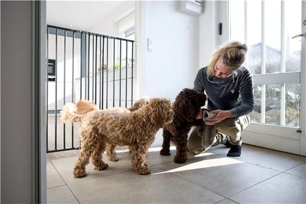 DogSpace CHARLIE extra tall extending metal PET gate BLACK - Image 5