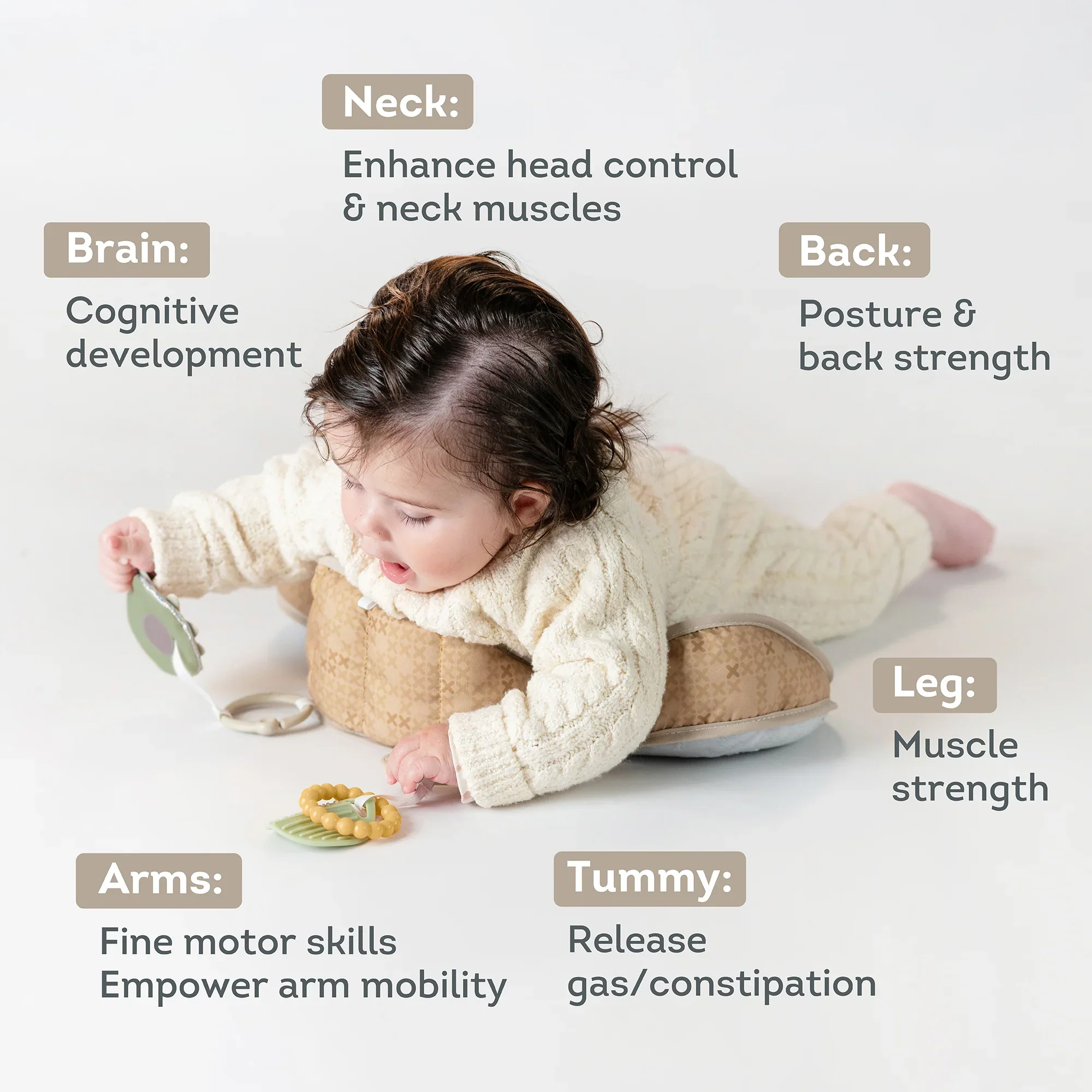 Taf Toys Tummy Time Pillow - Bear 0M+ - Image 3