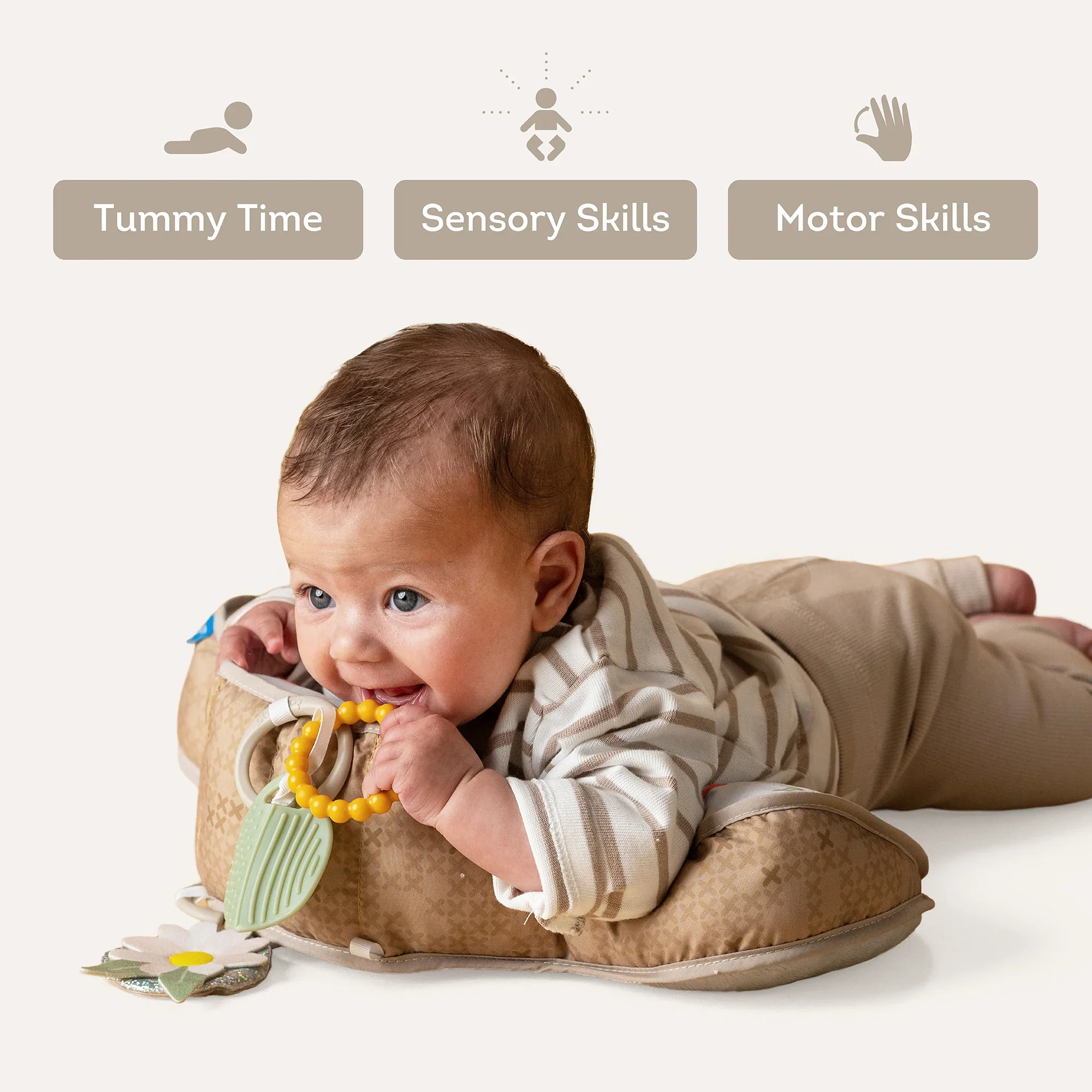 Taf Toys Tummy Time Pillow - Bear 0M+ - Image 5